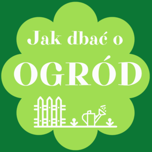 Jak dbać o ogród
