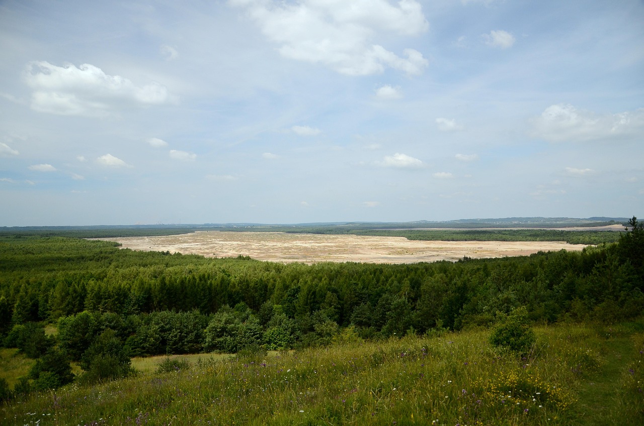 pustynia błędowska