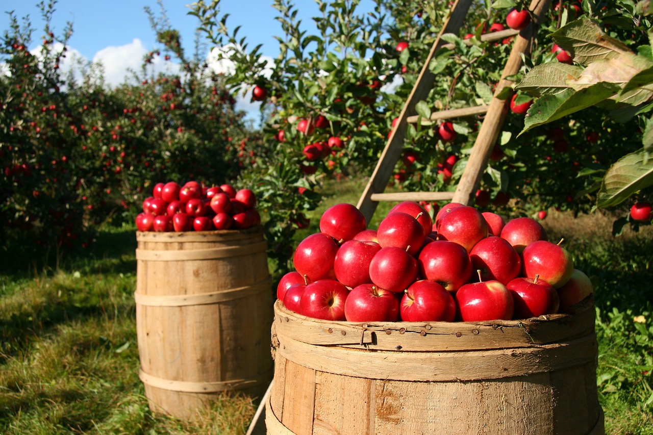Fruit Poland Expo 2025
