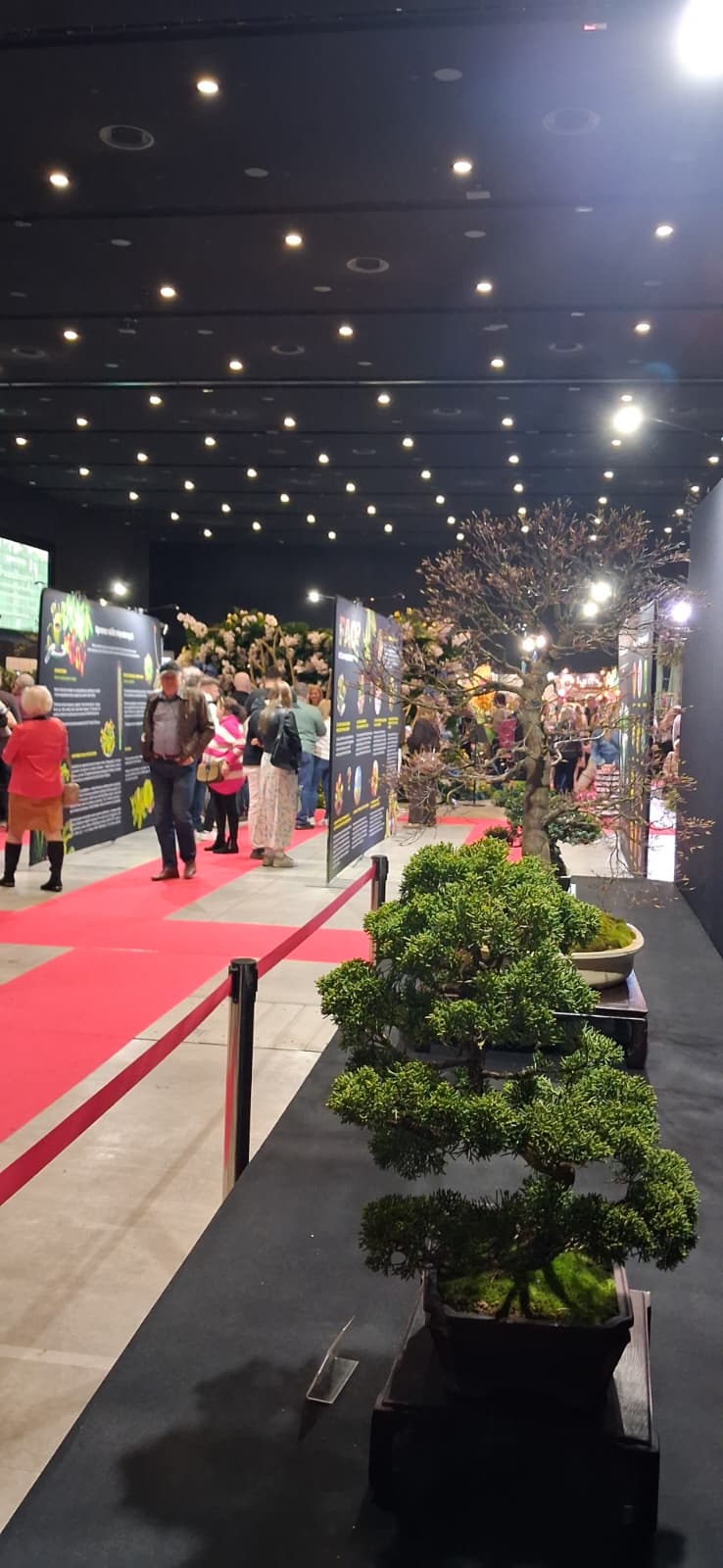flower-show-katowice-2026-5 Flower Show Katowice 2026 – relacja zdjęciowa