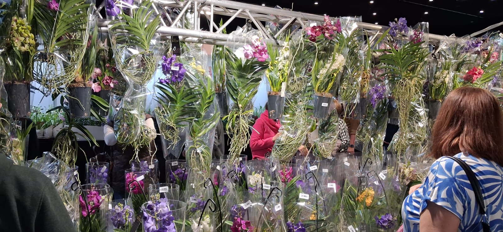 whatsapp-image-2026-03-19-at-214507-1 Flower Show Katowice 2026 – relacja zdjęciowa